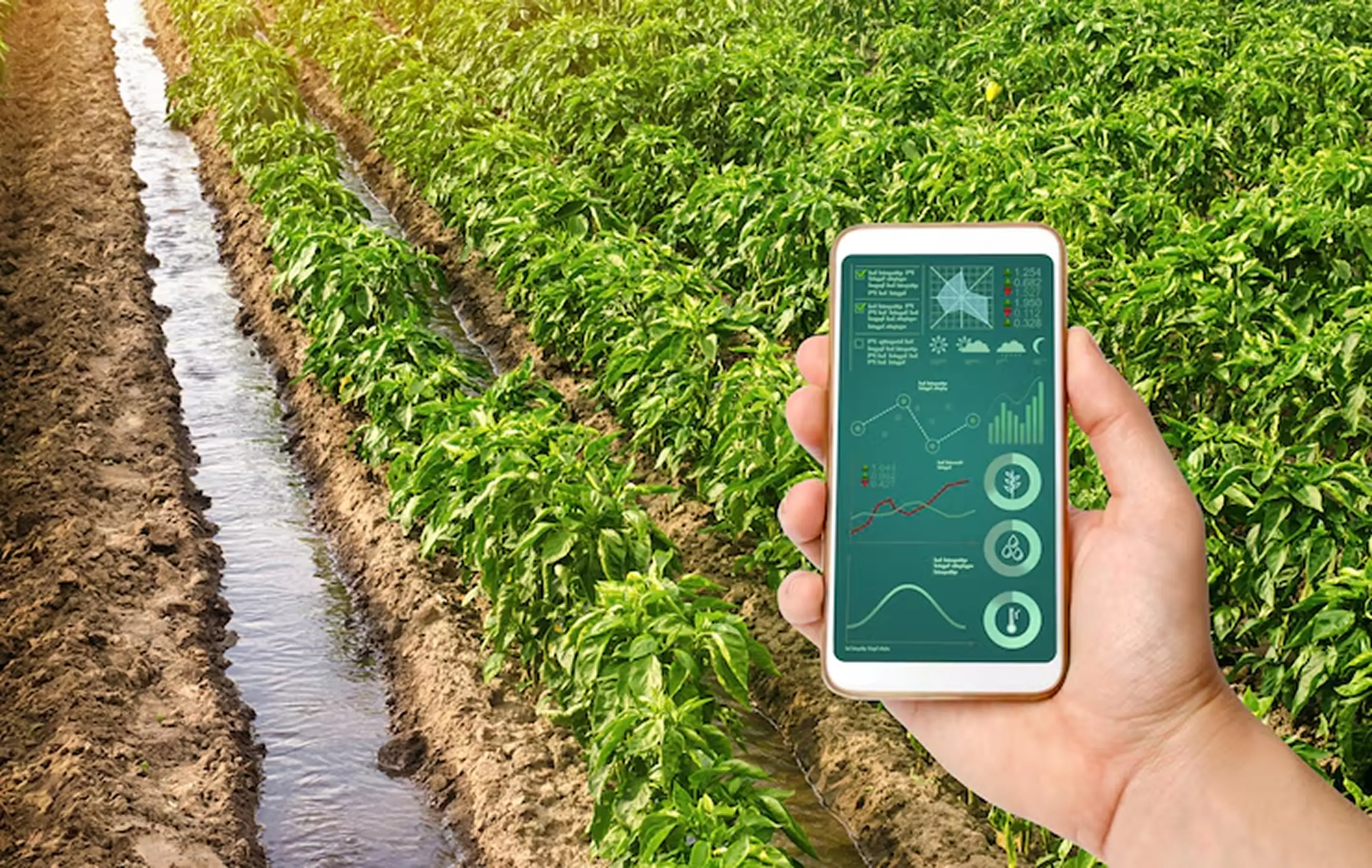 Automatización agrícola